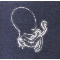 Agaetis Byrjun